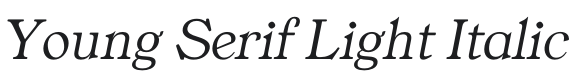 Young Serif Light Italic Font Preview