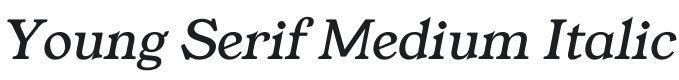 Young Serif Medium Italic Font Preview
