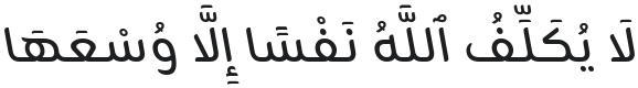 Zain Italic Font Preview