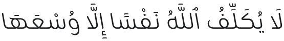 Zain Light Italic Font Preview