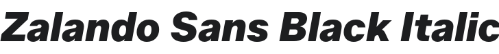 Zalando Sans Black Italic Font Preview