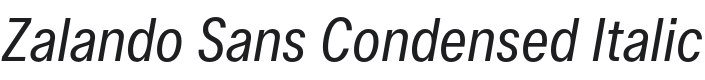 Zalando Sans Condensed Italic Font Preview