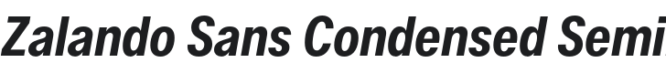 Zalando Sans Condensed SemiBold Italic Font Preview