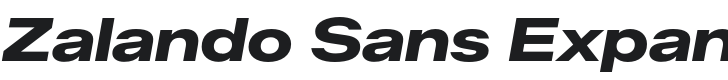 Zalando Sans Expanded ExtraBold Italic Font Preview