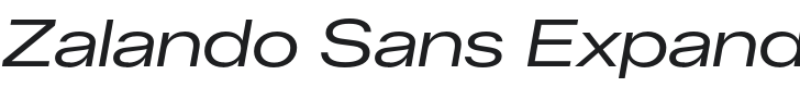 Zalando Sans Expanded Italic Font Preview