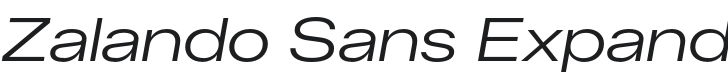 Zalando Sans Expanded Light Italic Font Preview