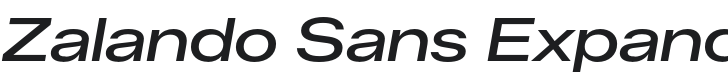 Zalando Sans Expanded Medium Italic Font Preview