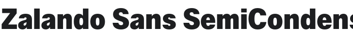 Zalando Sans SemiCondensed Black Font Preview