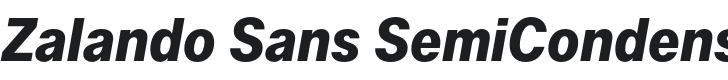 Zalando Sans SemiCondensed Bold Italic Font Preview
