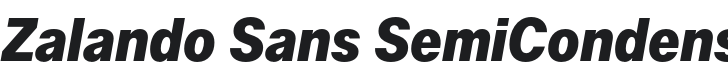 Zalando Sans SemiCondensed ExtraBold Italic Font Preview