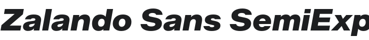 Zalando Sans SemiExpanded Black Italic Font Preview