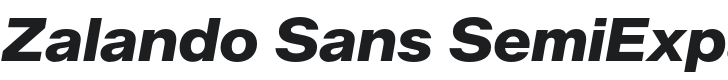 Zalando Sans SemiExpanded ExtraBold Italic Font Preview