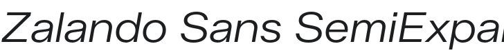 Zalando Sans SemiExpanded Light Italic Font Preview