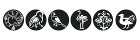 Birds Birds Font Thumbnail