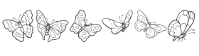 ButterFly Font Thumbnail