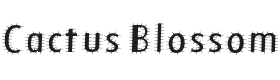 Cactus Blossom Font Thumbnail