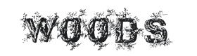 Deep Woods Initials Font Thumbnail