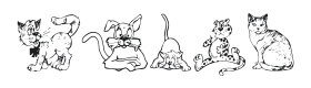 Dingcats Font Thumbnail