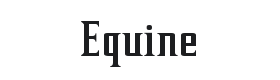 Equine Font Thumbnail
