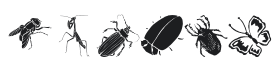 Insects Font Thumbnail