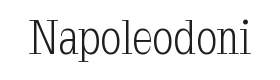 Napoleodoni Font Thumbnail