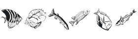 Swimming Beautys Font Thumbnail
